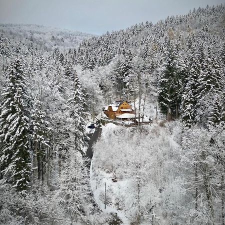 Pensjonat Alpejski Dwor Międzygórze Eksteriør billede
