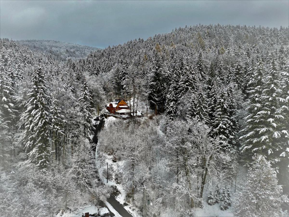 Pensjonat Alpejski Dwor Międzygórze Eksteriør billede