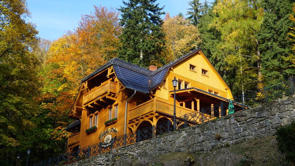 Pensjonat Alpejski Dwor Międzygórze Eksteriør billede